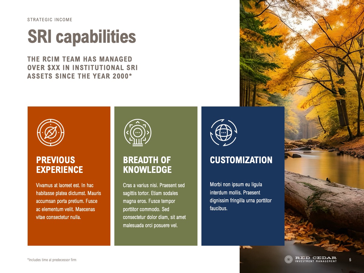 Capabilities Slide Text-Heavy Presentation Design